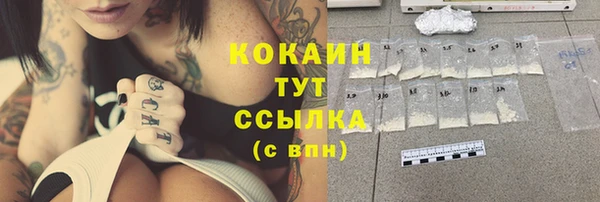 твердый Бородино