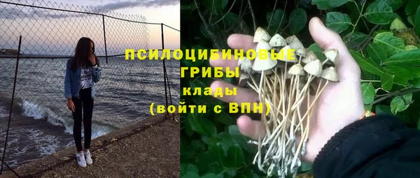 амф Бугульма