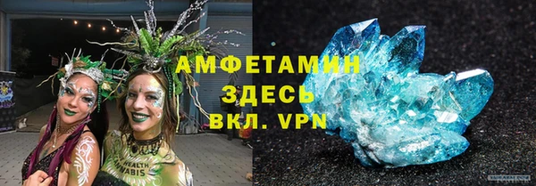 твердый Бородино
