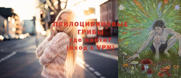твердый Бородино