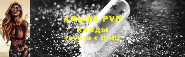 твердый Бородино