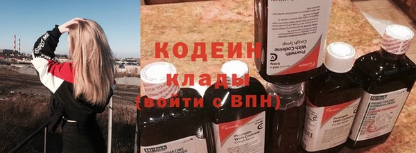 твердый Бородино