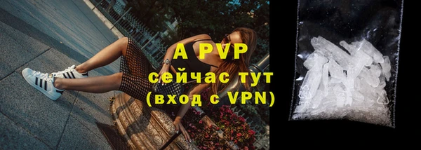 твердый Бородино