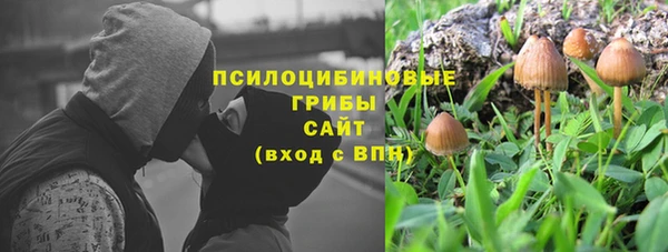 твердый Бородино