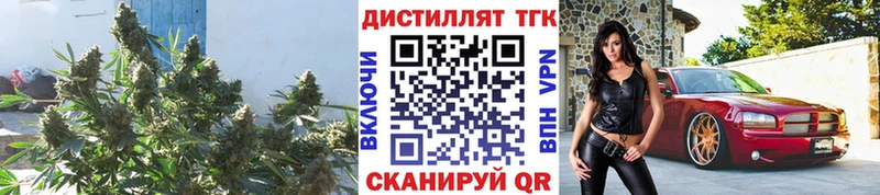 kraken   Медногорск  Дистиллят ТГК вейп 